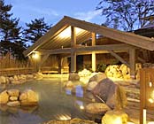 ���É���@���h�@�؂̗t�i���̂́j