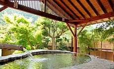 天城湯ヶ島温泉 白壁荘 (巨石と巨木の露天風呂が自慢の宿)