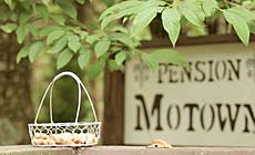 ペンション モータウン