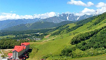 �z�e���O���[���v���U���n