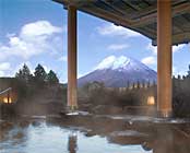 ��Ό�����@�z�e���O���[���v���U����