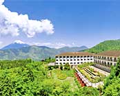 ��Ό�����@�z�e���O���[���v���U����