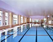 ���ƐX�̃��}���g�s�A�����܁@���̏h������