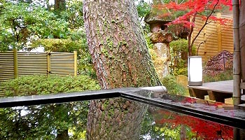 山代温泉 吉田屋 山王閣