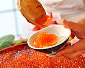 ��R�k����@��R�k�r���[�z�e��