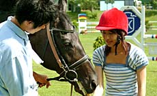 ���}�n���]�[�g�@�ܗ�