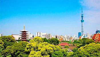 ���W�f���V�����z�e���@�r�[�R���e�󑐁i2011�N5���I�[�v���j