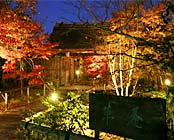 ���̐쉷��@���h�@���