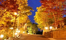 �ߐ{���Y����@������h�@�x�o�]�t��n�@�ߐ{���{�\��