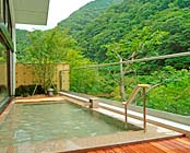 中川温泉 信玄館