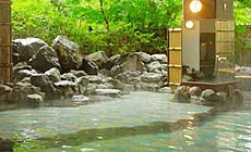 �H�ۉ���@�H�ۃO�����h�z�e��