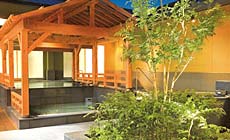 �F���ÃO�����h�z�e��