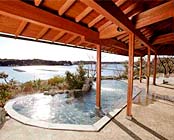 �����󐶉�