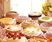 �J���g���[�n�E�X�@�p�f�B���g�����Ȗ،���