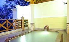 �ߐ{����@�z�e���O���[���p�[���ߐ{