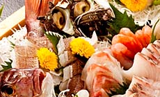 �~�g��������@���g���|���^������