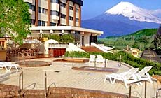 中伊豆温泉 ホテルワイナリーヒル