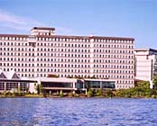 ����T���p���X