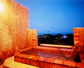 �ɓ���������@�W�]���C�̏h�@���{��