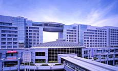 �z�e�����q�֐���`