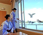 ��O���@�z�e���ϗm