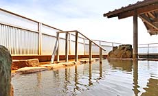 �ɍ��ۉ���@�z�e�����{�O