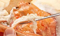 城崎温泉 やなぎ荘