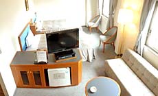 ���c����@�z�e����ǋv�i���炭�j