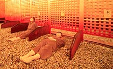 ���났�̓@�@���ɂ���