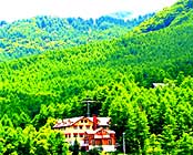 ����R�x�z�e���@�A���f���}�b�g