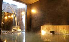 �z�e���K�[�f���p���X�֋󉷐�