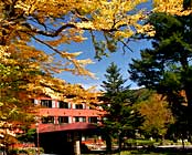 ������������@�����������z�e��