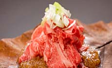 ��ˍ��R�@���ف@�����q