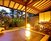 �ɓ����c�E���ʉ���@���ƌ���̏h�@���c�Z���g�����z�e��