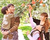 ����B��̒J��x��]�ސ�i��16��̓�����̏h�@�����