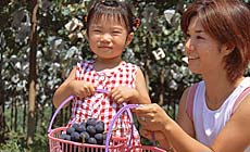 �Θa����@�z�e���Ԃ�����