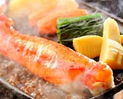 ���ɂ̂��h