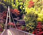 箱根温泉 鶴井の宿 紫雲荘