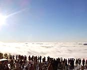 ���샊�]�[�g�@�g�}���i���A���t�@���]�[�g�E�g�}���j