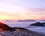 ���샊�]�[�g�@�g�}���i���A���t�@���]�[�g�E�g�}���j