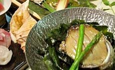 �������@���̌��z�e��