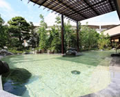 �z�e���@�E�F���V�[�Y���l���΁i���F���S�z�e���@�G���p�C�A�j