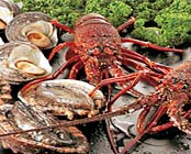 ���C�C�݁@����Ҍ�