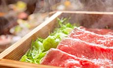 �ʕ{����@���]�̏h�@������