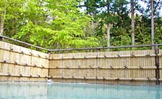 ��������@�䉮�X�̃z�e�����@���g�x���N