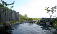 �ɓ���������@�͂Ȃ�h�@�P��