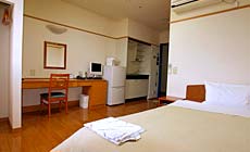 �z�e���@�X�e�C�E�C��������