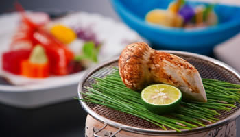 �O�J����@�Ђ����z�e��