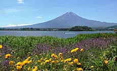 �x�m�͌��Ή���@�G��t�@�Ό�