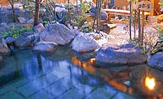 筋湯温泉 九重 悠々亭